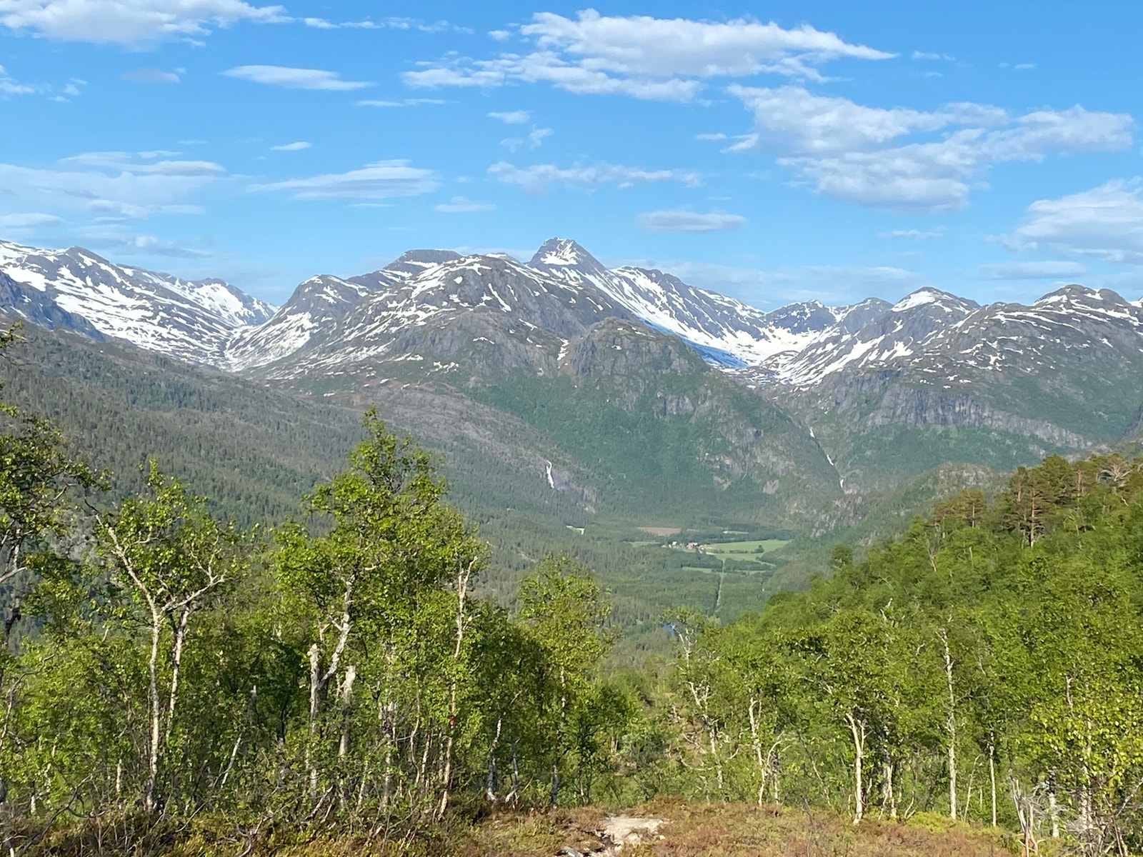 Velkommen til visning! Galleribilde