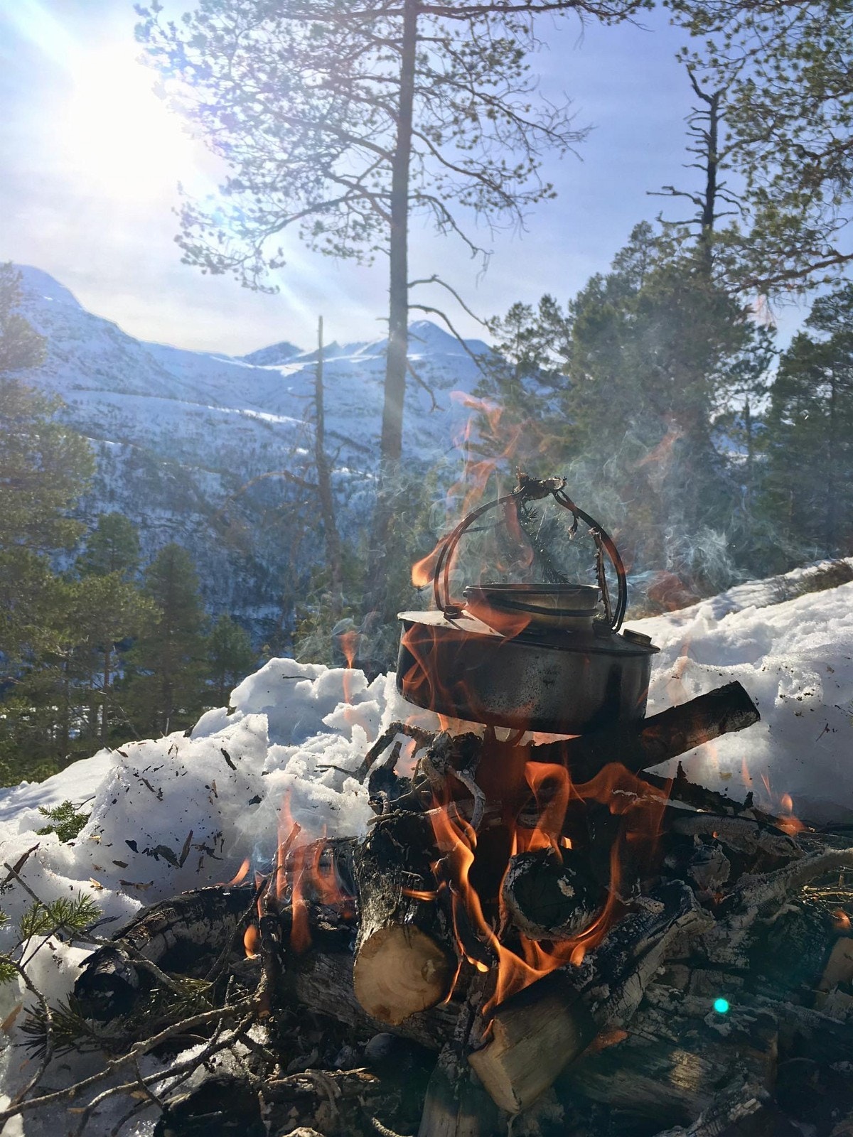 Skyfri søndag og svartkjelkaffe i lia. Foto: Grunneier Galleribilde