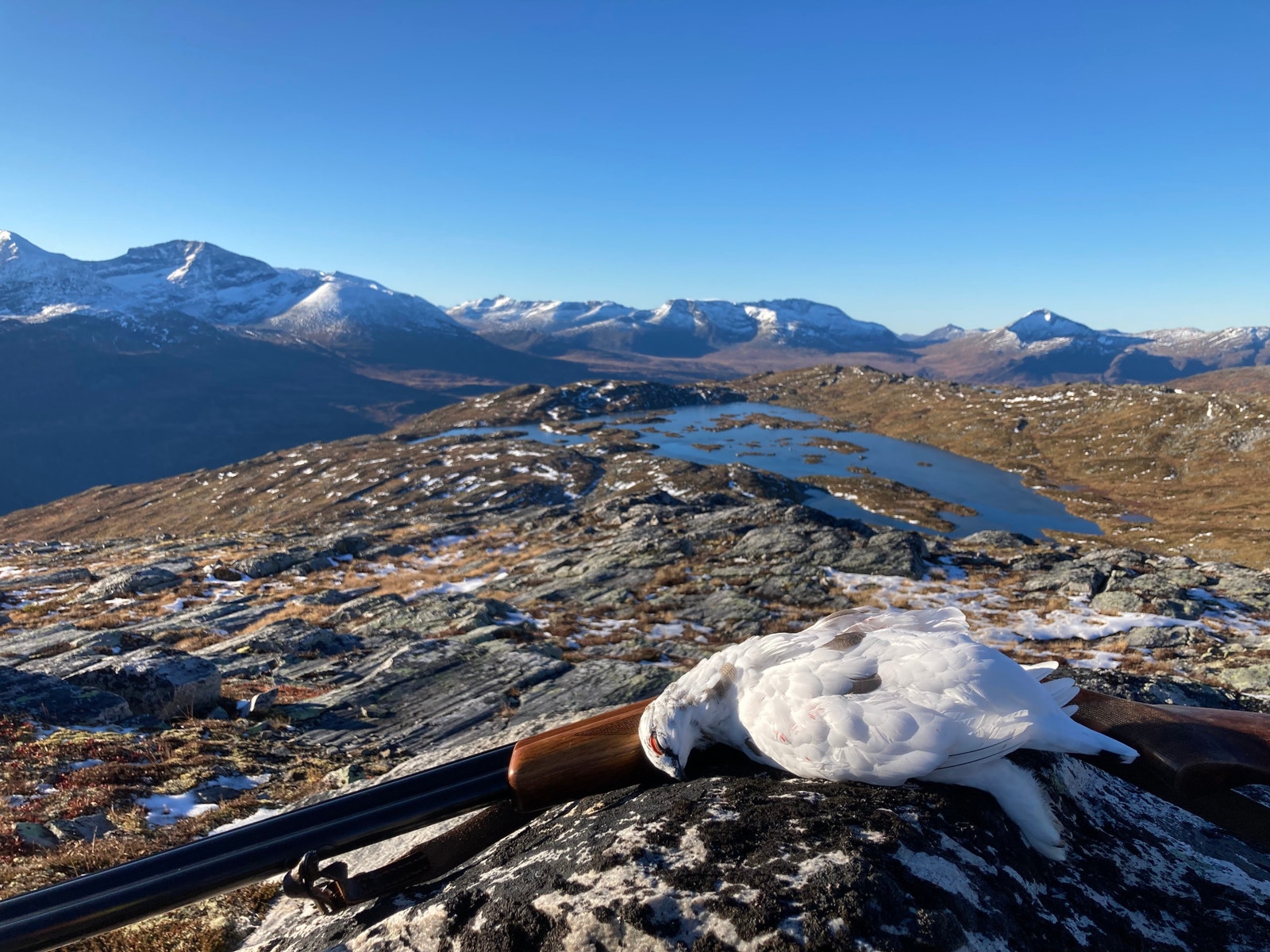 Jakta kan starte rett utenfor hyttedøra. Foto: Grunneier Galleribilde