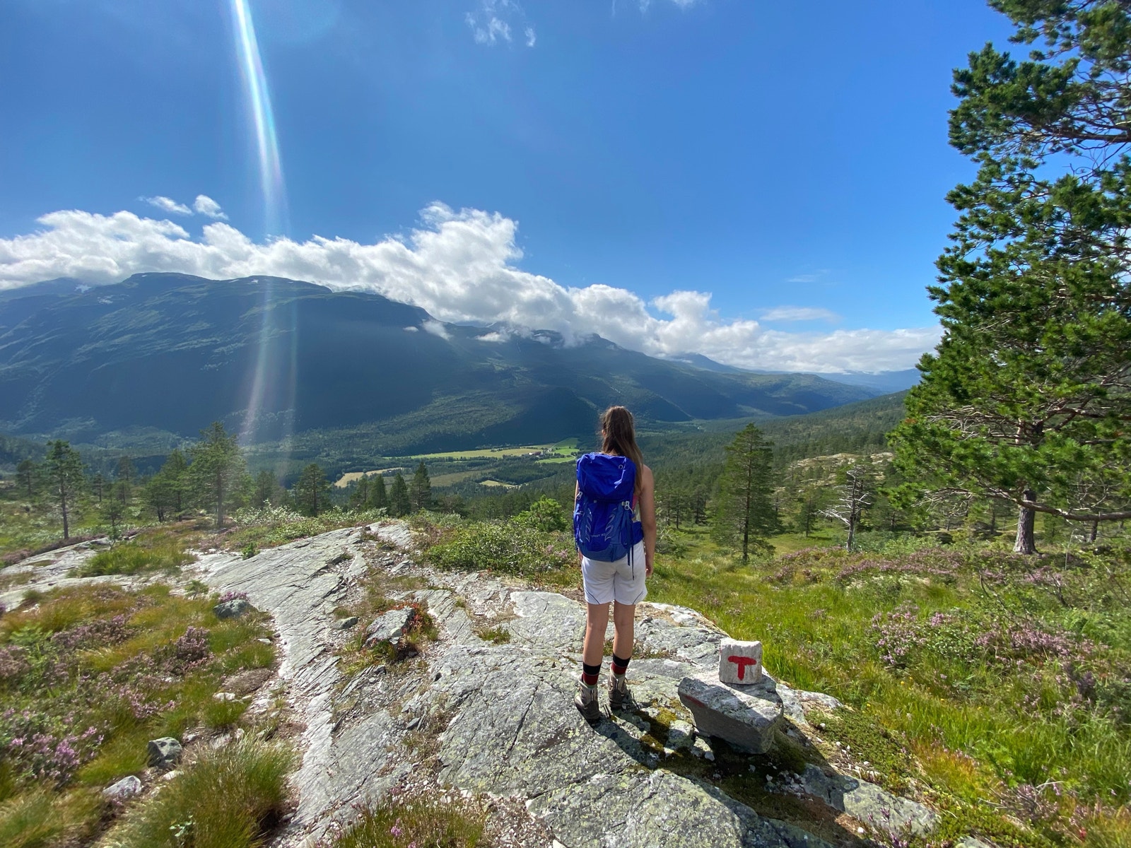 Utrolig fine turmuligheter. Foto: Grunneier Galleribilde