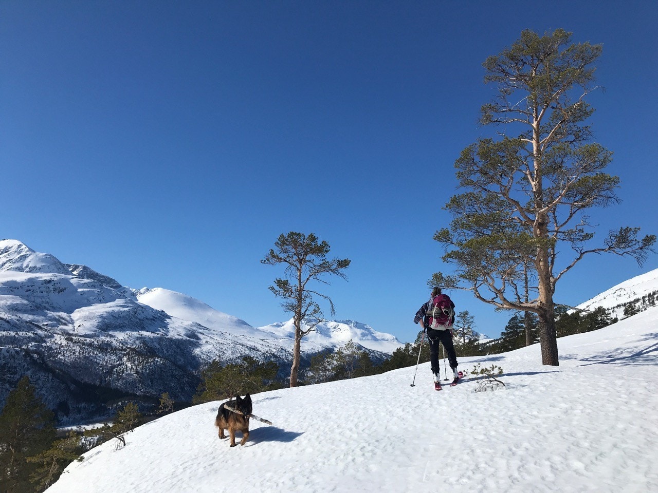 Her fra toppen av lia på vinters tid. Foto: Grunneier Galleribilde