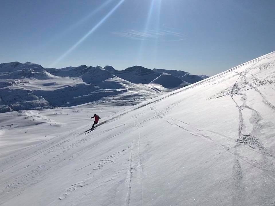 På tur ned fra Tydalsnebba, den mest populære toppturen fra Kårvatn. Rett ut fra hyttedøra. Foto: Grunneier Galleribilde