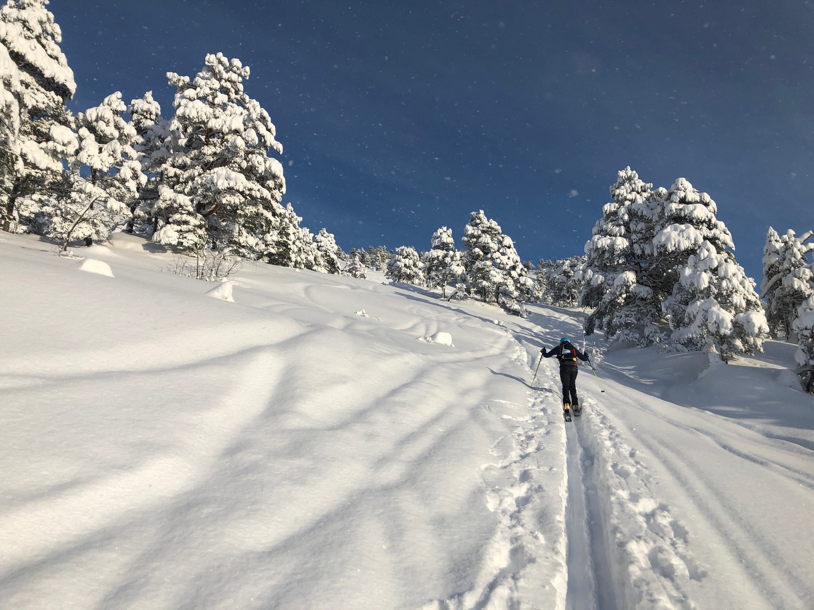 Området ved Kårvatn er ein av dei finaste plassane for topptur i Midt-Norge. Mulighet for å komme seg trygt ut uansett vær og føre Galleribilde