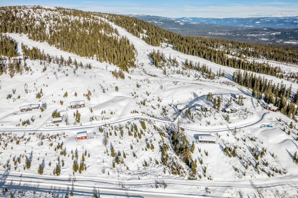 Småvilt kan jaktes ved at man går direkte fra hytta ut i jaktterrenget. Når det gjelder fiske så er Renaelva en av Norges desidert beste fiskeelver, Glomma byr også på godt fiske. 18-hulls golfbane av høy standard finnes ved foten av Birkenåsen. Galleribilde