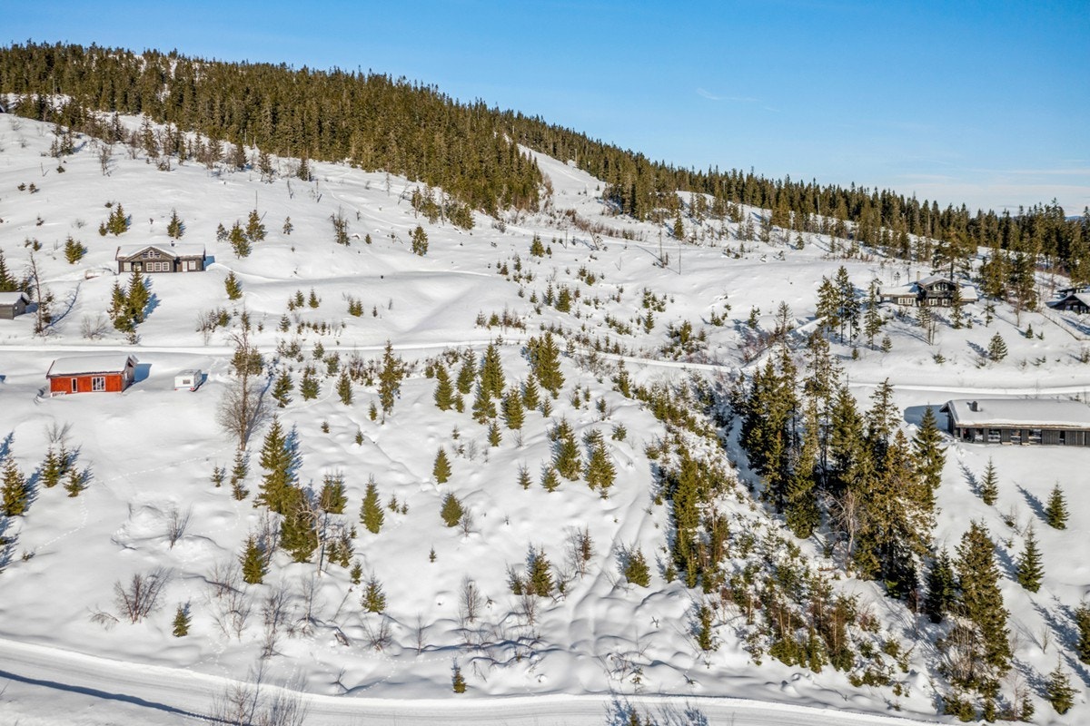 På fine sommerdager kan Osensjøen by på en av Østlandets fineste sandstrender, videre så tilbyr også Rena en lun og fin badeplass. Ca. 10 km til Rena sentrum hvor man finner alle fasiliteter, som butikk, post, kino, Vinmonopol, restauranter osv. Galleribilde