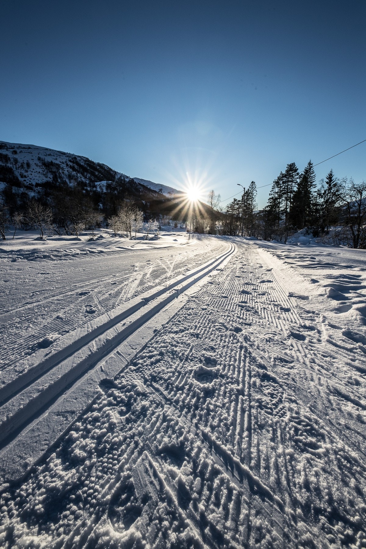 Fleire km med trakka langrennsløyper. Galleribilde