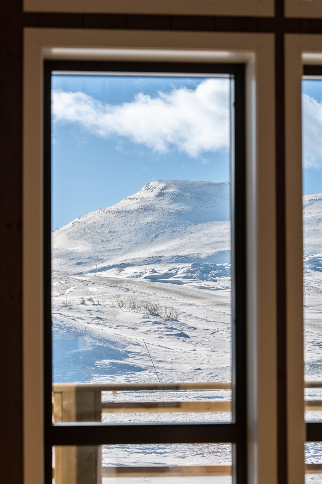 Nydelig utsikt mot Høgevardetoppen. Galleribilde