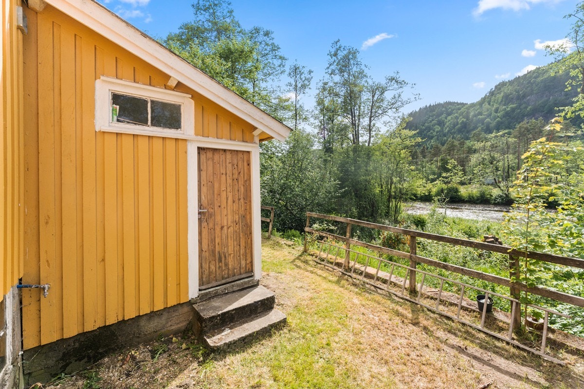 4772226_1-bqnwvb1.jpg Galleribilde