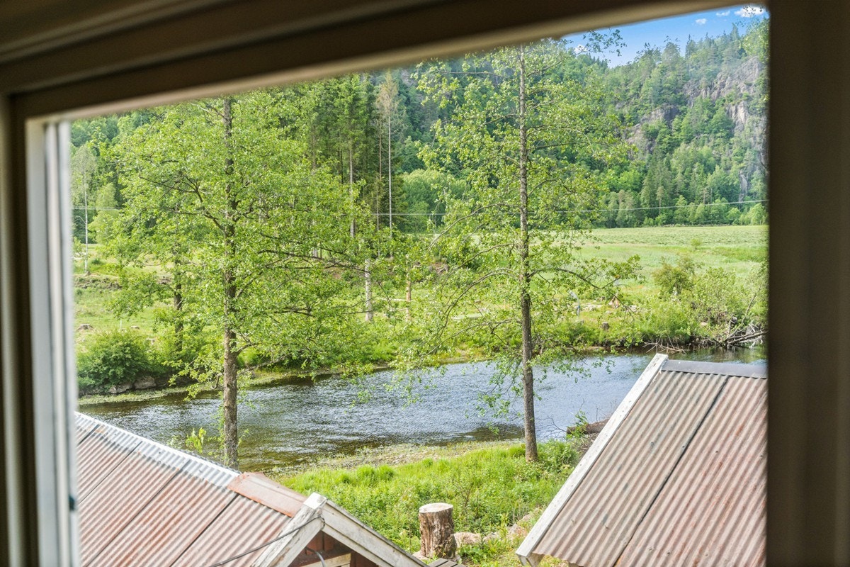 4772225_1-hzizdb1.jpg Galleribilde