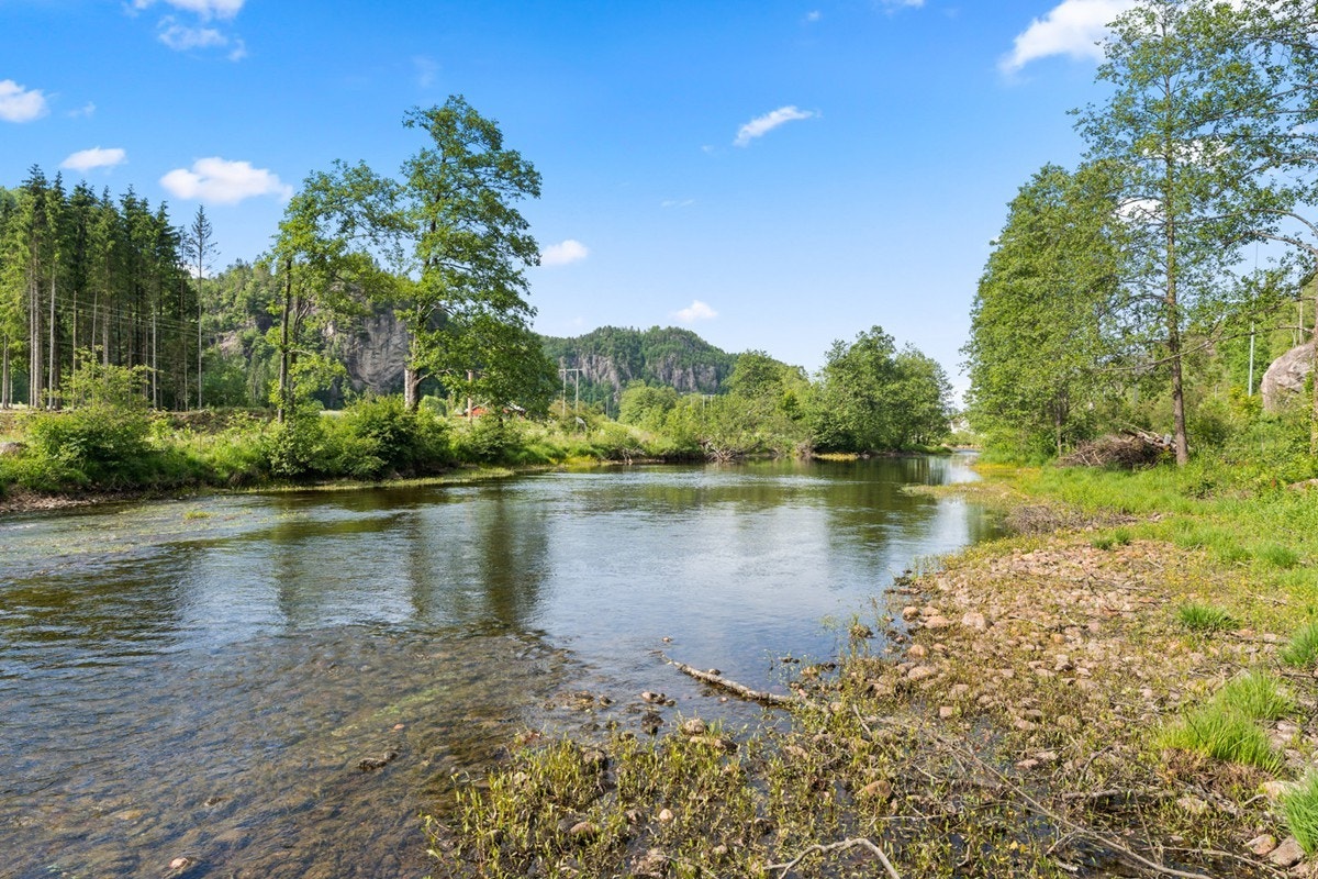 4772231_1-sznlmb1.jpg Galleribilde