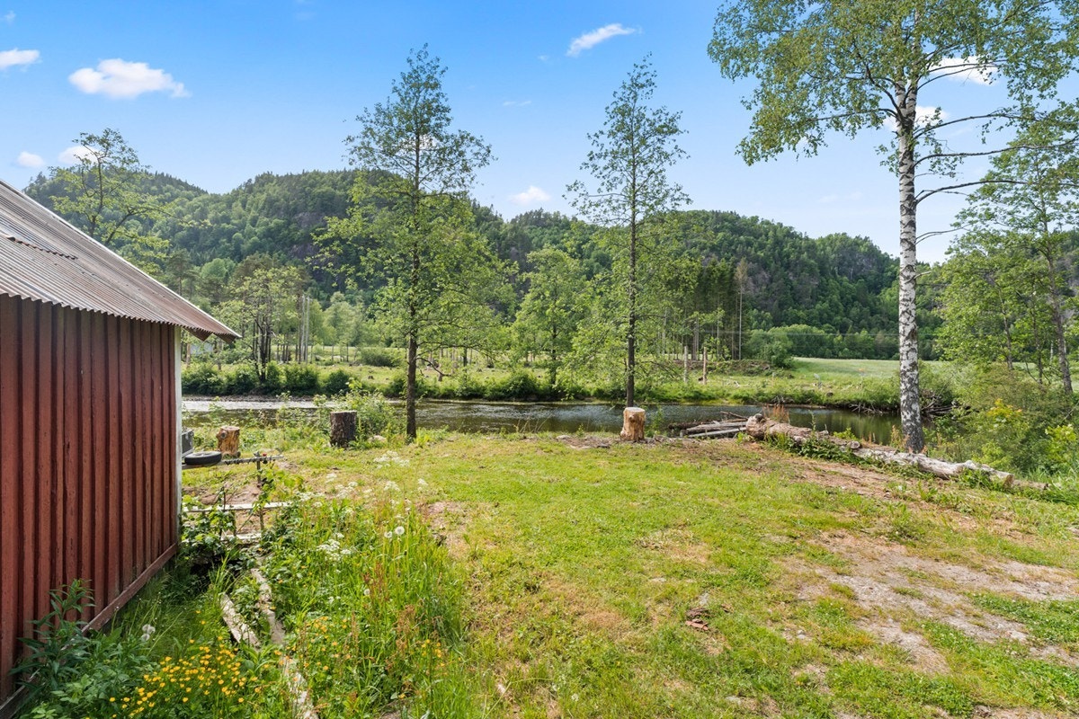 4772232_1-bugftb1.jpg Galleribilde