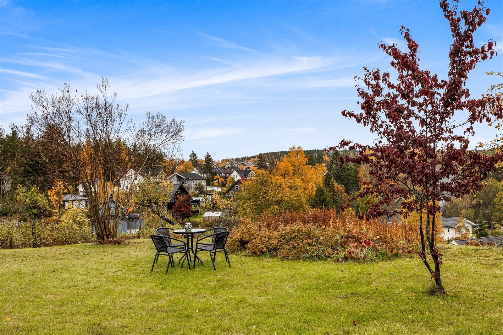 Hage / uteområde Galleribilde
