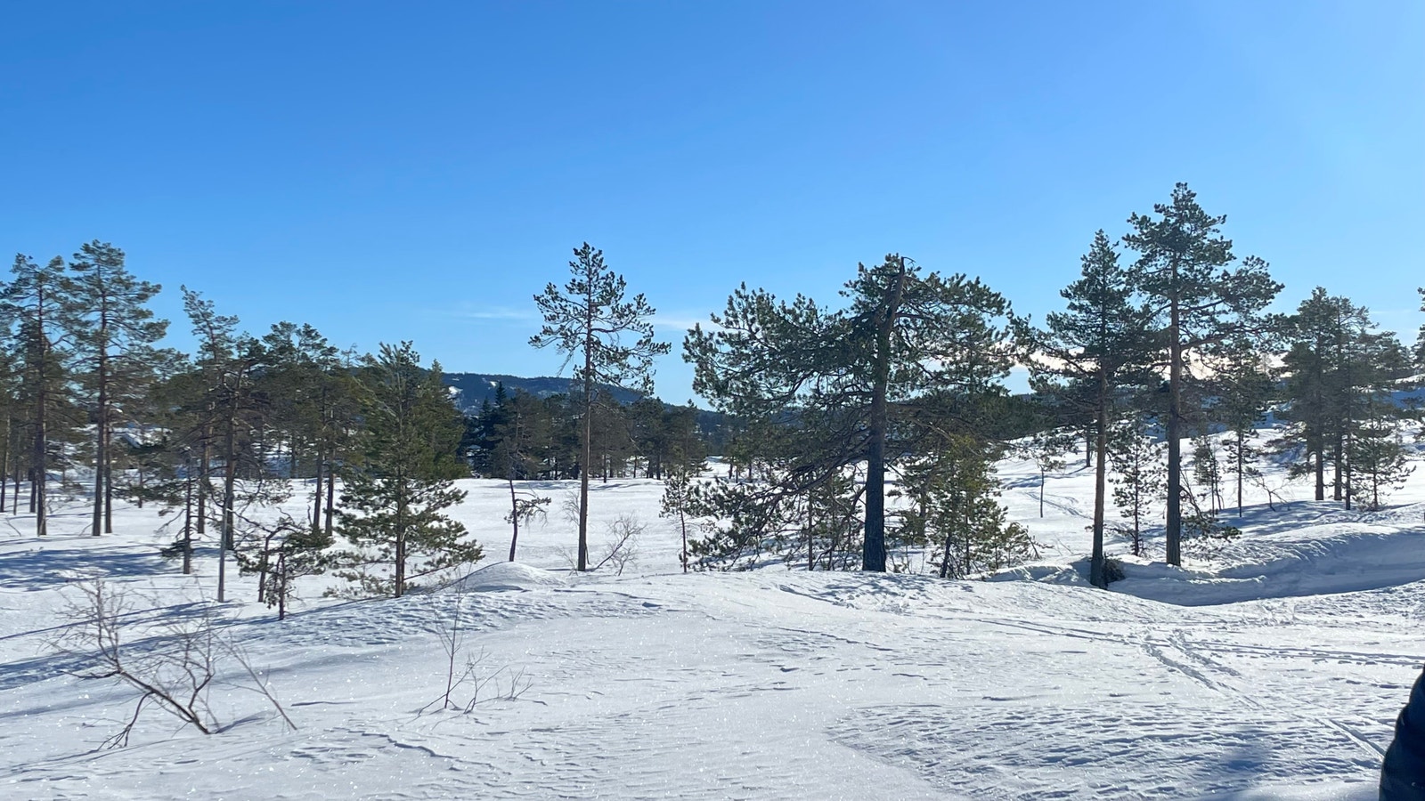Mot sør Galleribilde