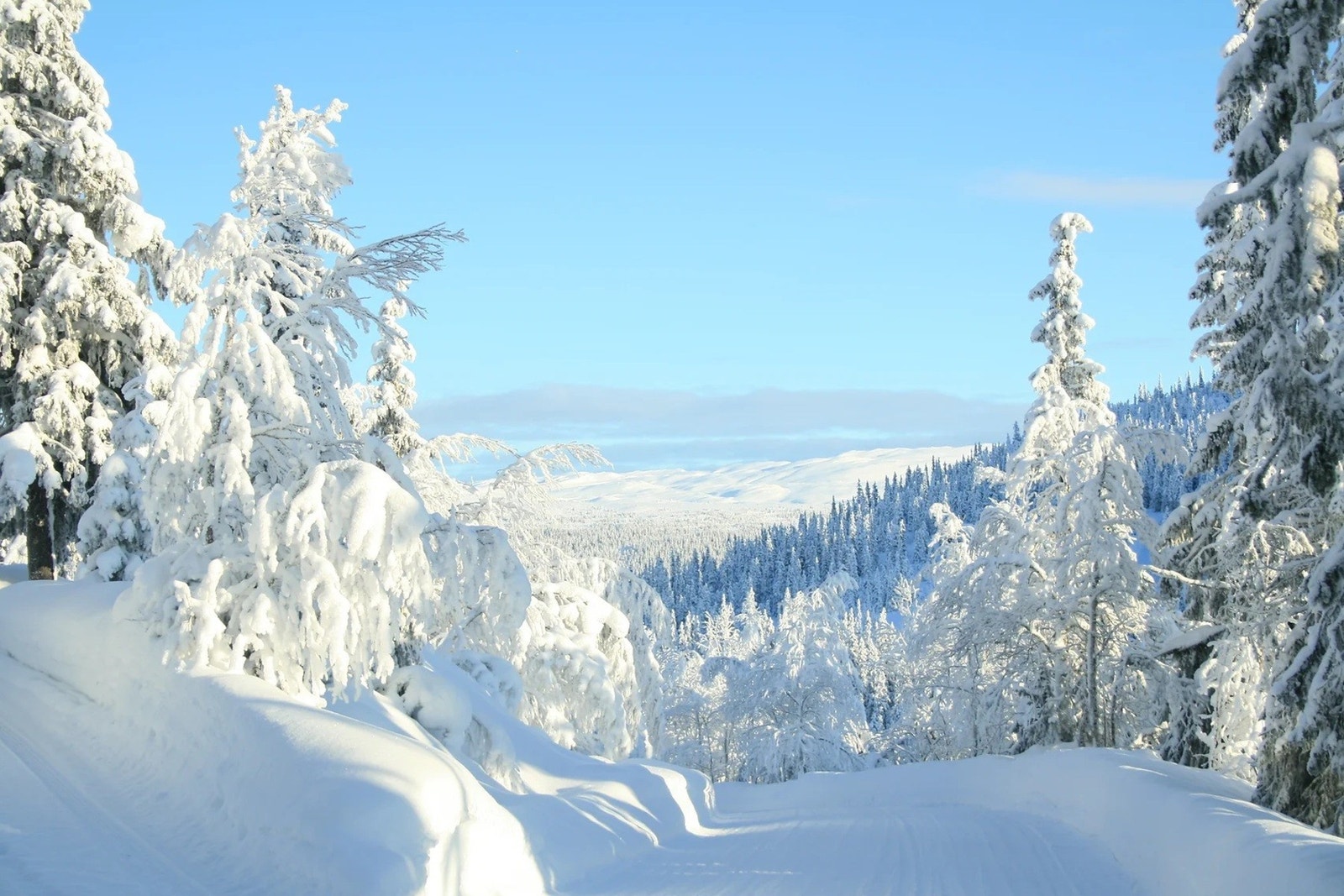 Her er det muligheter for ski inn/out langrenn i oppkjørte løyper. Bildet gjengitt med tillatelse fra grunneier. Galleribilde