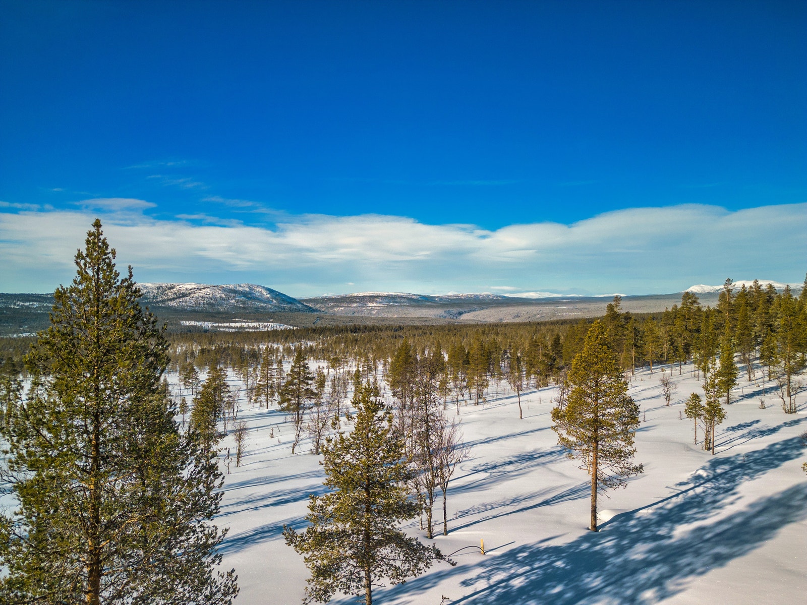 Utsikt mot Rondane Galleribilde
