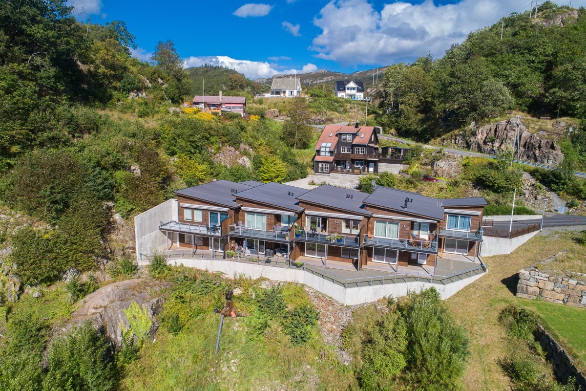 4371219_1-fukhmb1.jpg Galleribilde