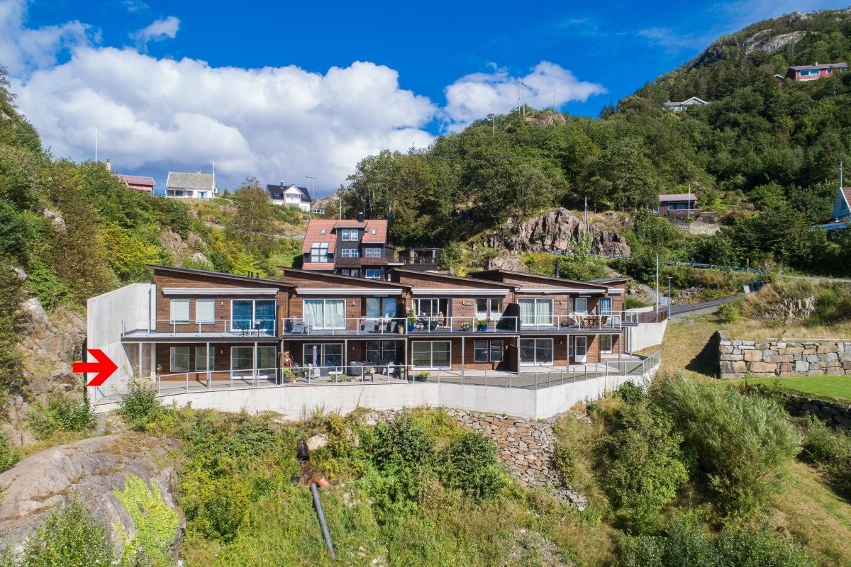 4371214_2-oxwhrb1.jpg Galleribilde