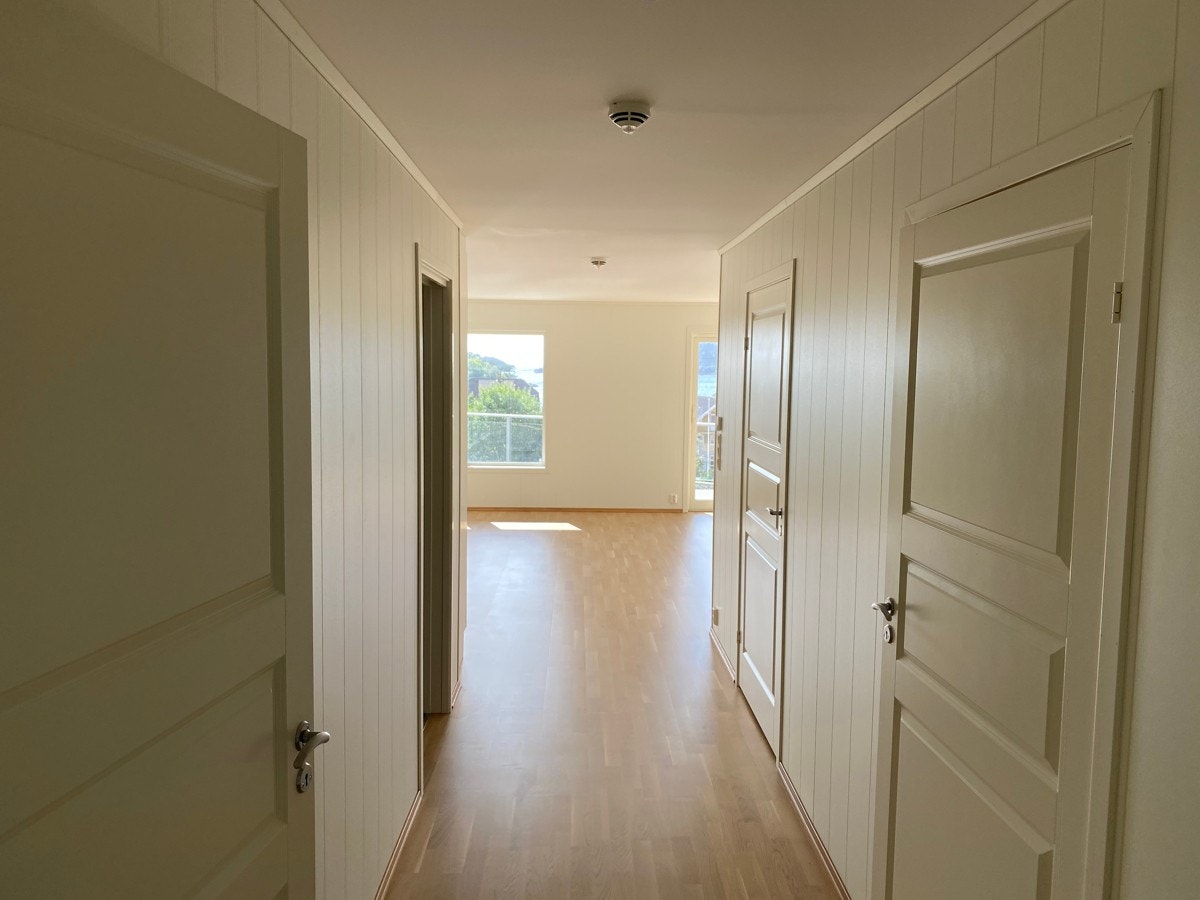 4376712_1-cltfhb1.jpg Galleribilde