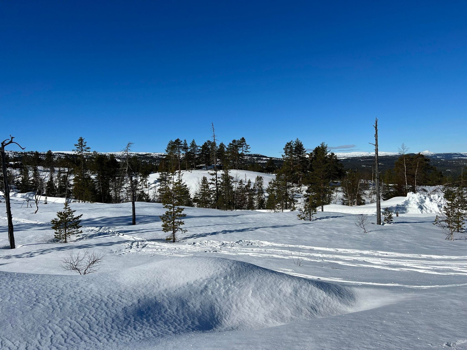 Fra tomt 80 Galleribilde