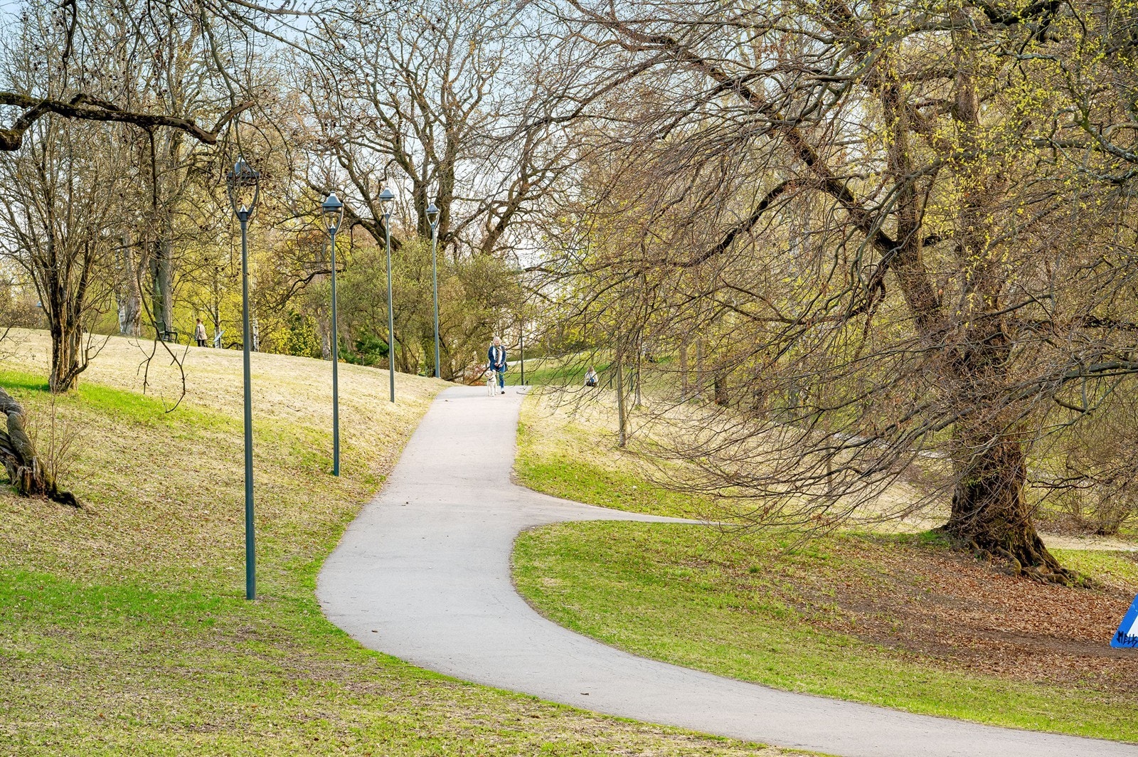 Gangavstand til flotte grøntområder ved St. Hanshaugen park. Galleribilde