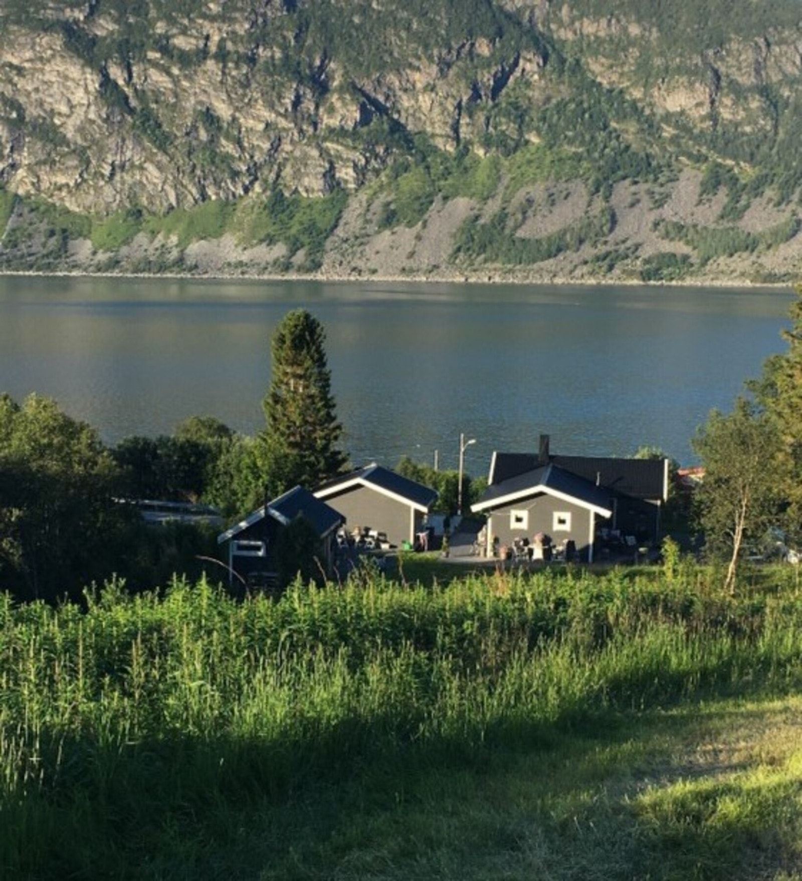 Bader i sol sommerstid Galleribilde