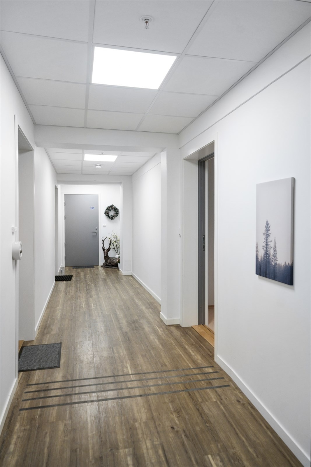 Fellesgang Galleribilde