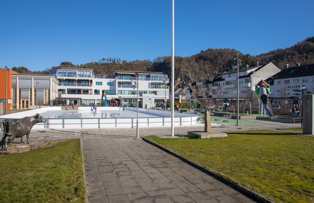 Næromårde Galleribilde