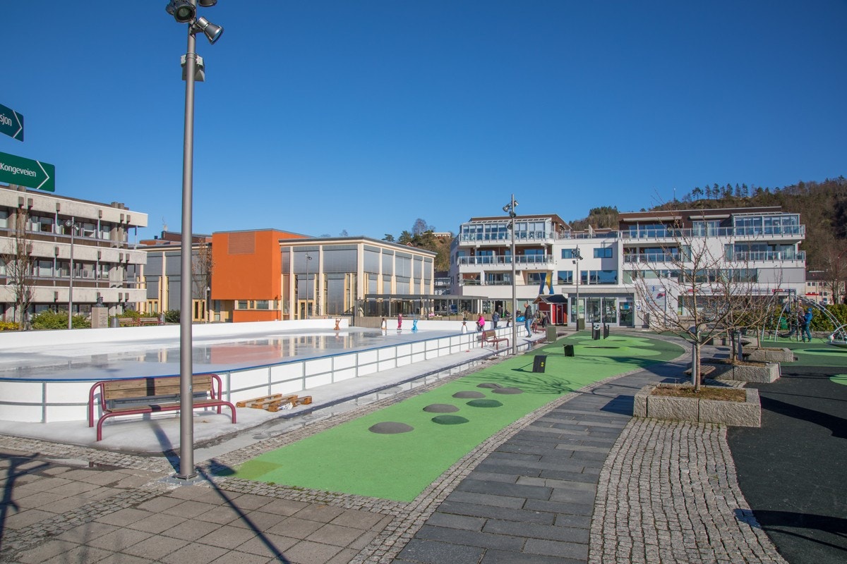 Nærområde Galleribilde