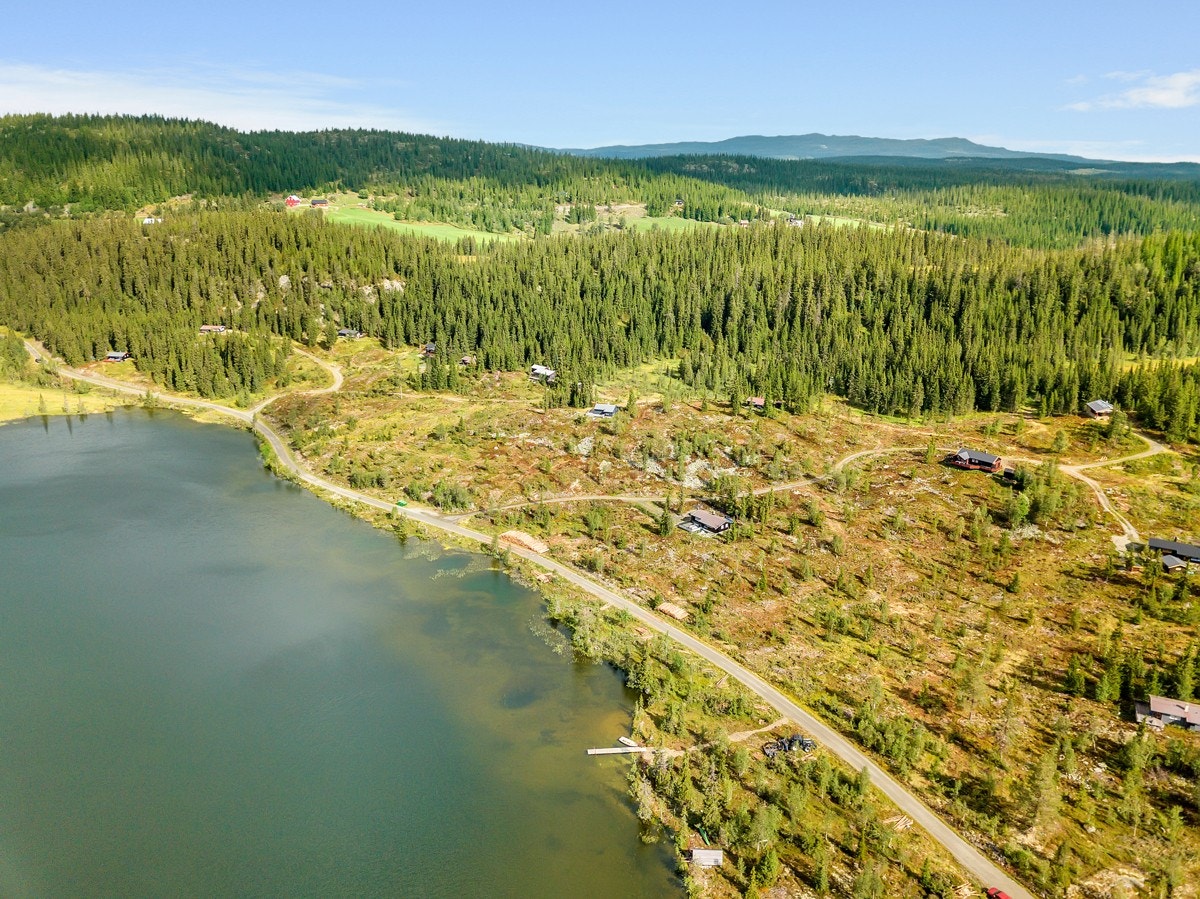 Et flott sted å samle familie og venner. Galleribilde