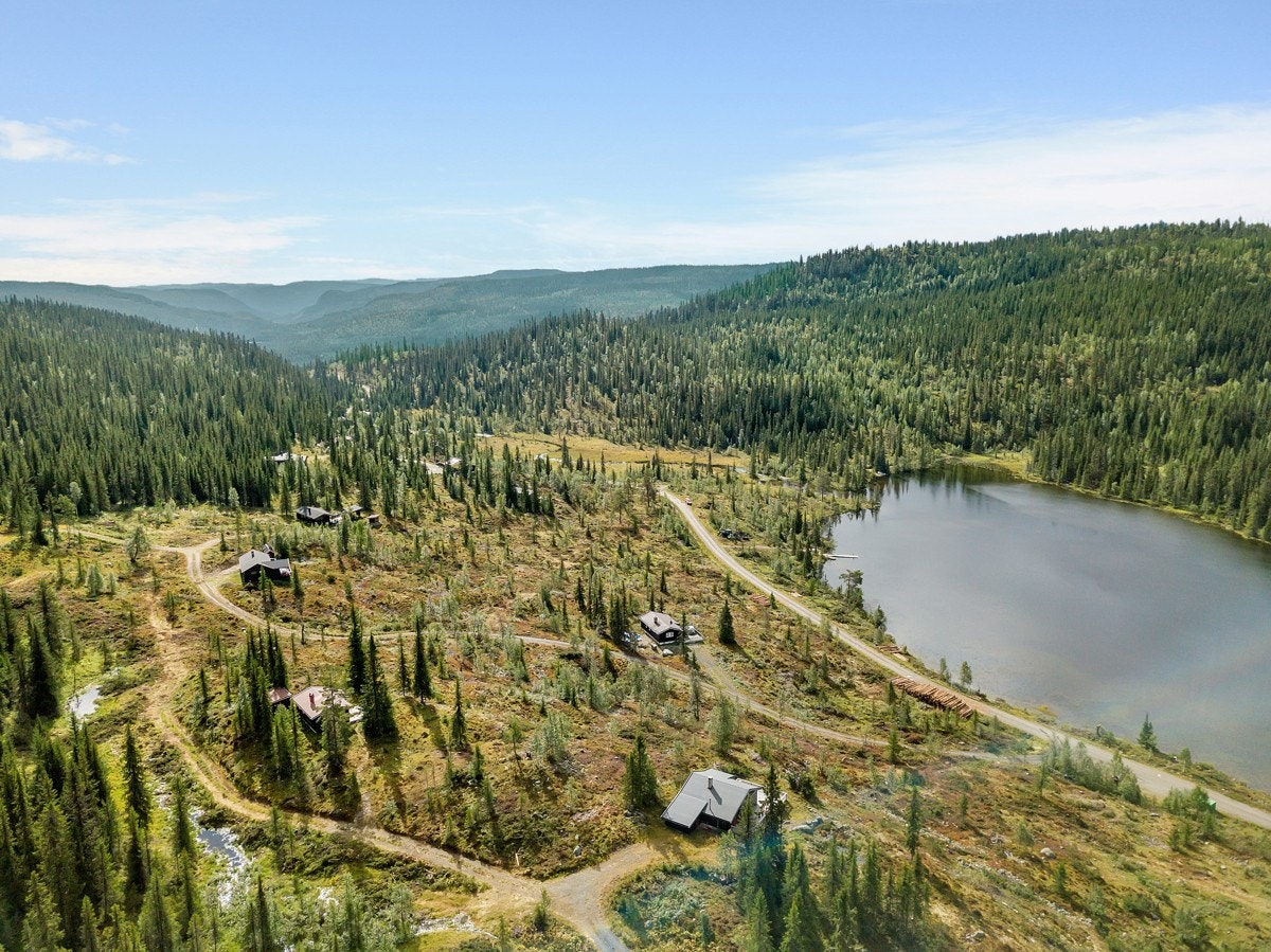 Nydelig natur. Galleribilde