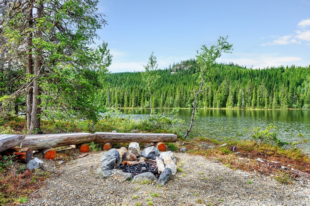 Felles grillplass på området. Galleribilde