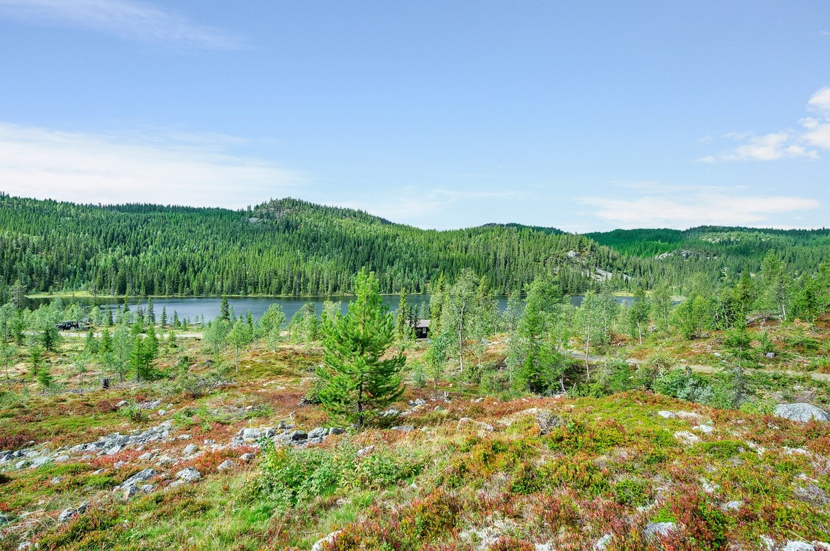 Gode turmuligheter i området. Galleribilde