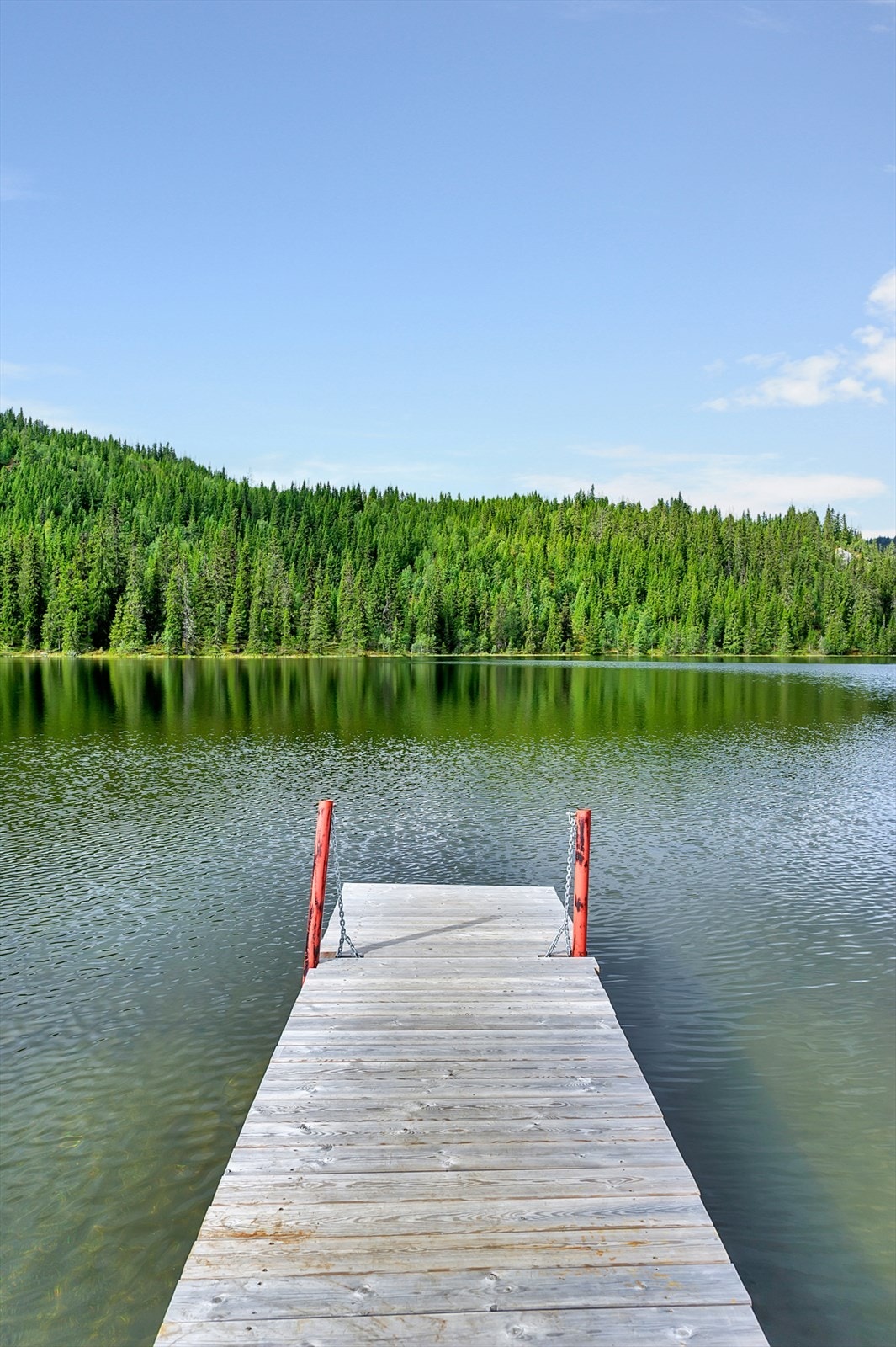 Felles brygge for hytteområdet. Galleribilde