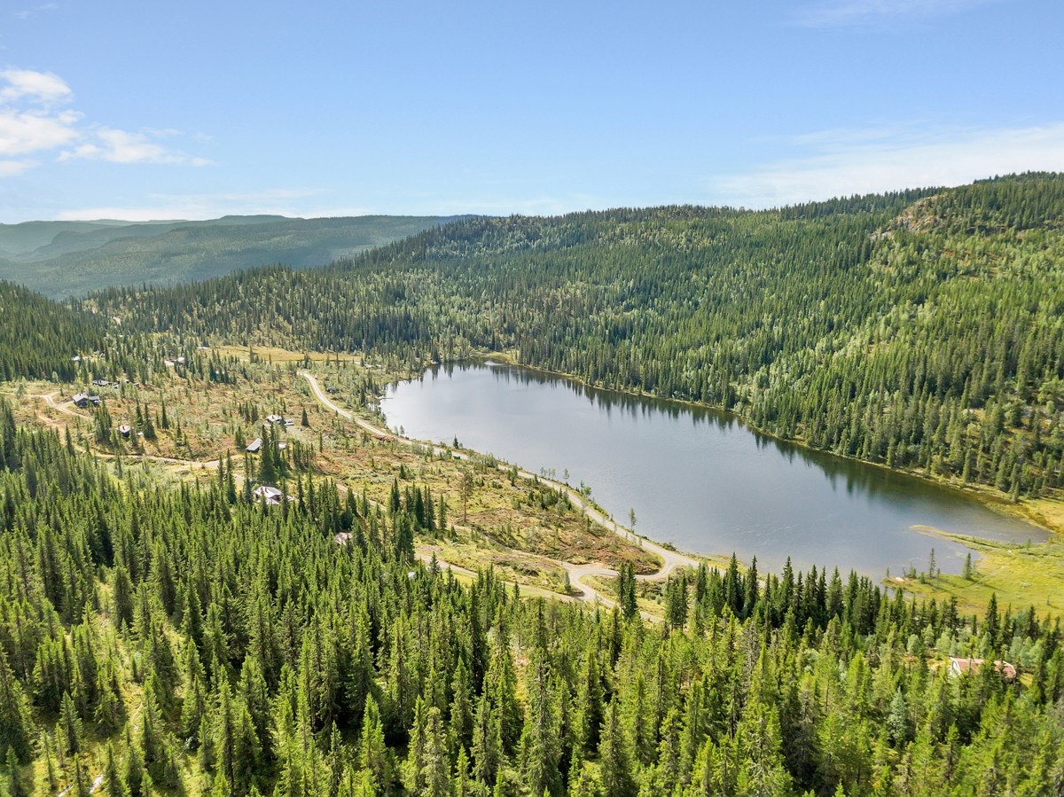 Rolig og landlig beliggenhet. Galleribilde