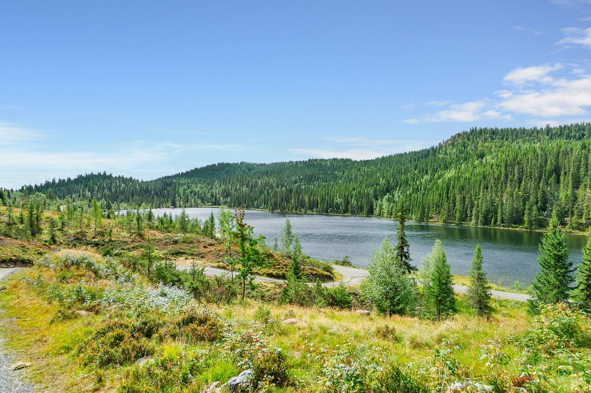 Rolig og fin beliggenhet. Galleribilde