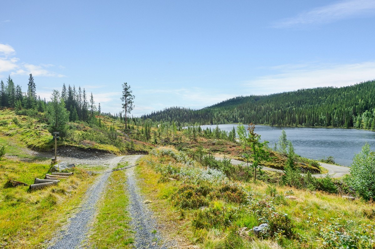 Flott utsikt! Galleribilde