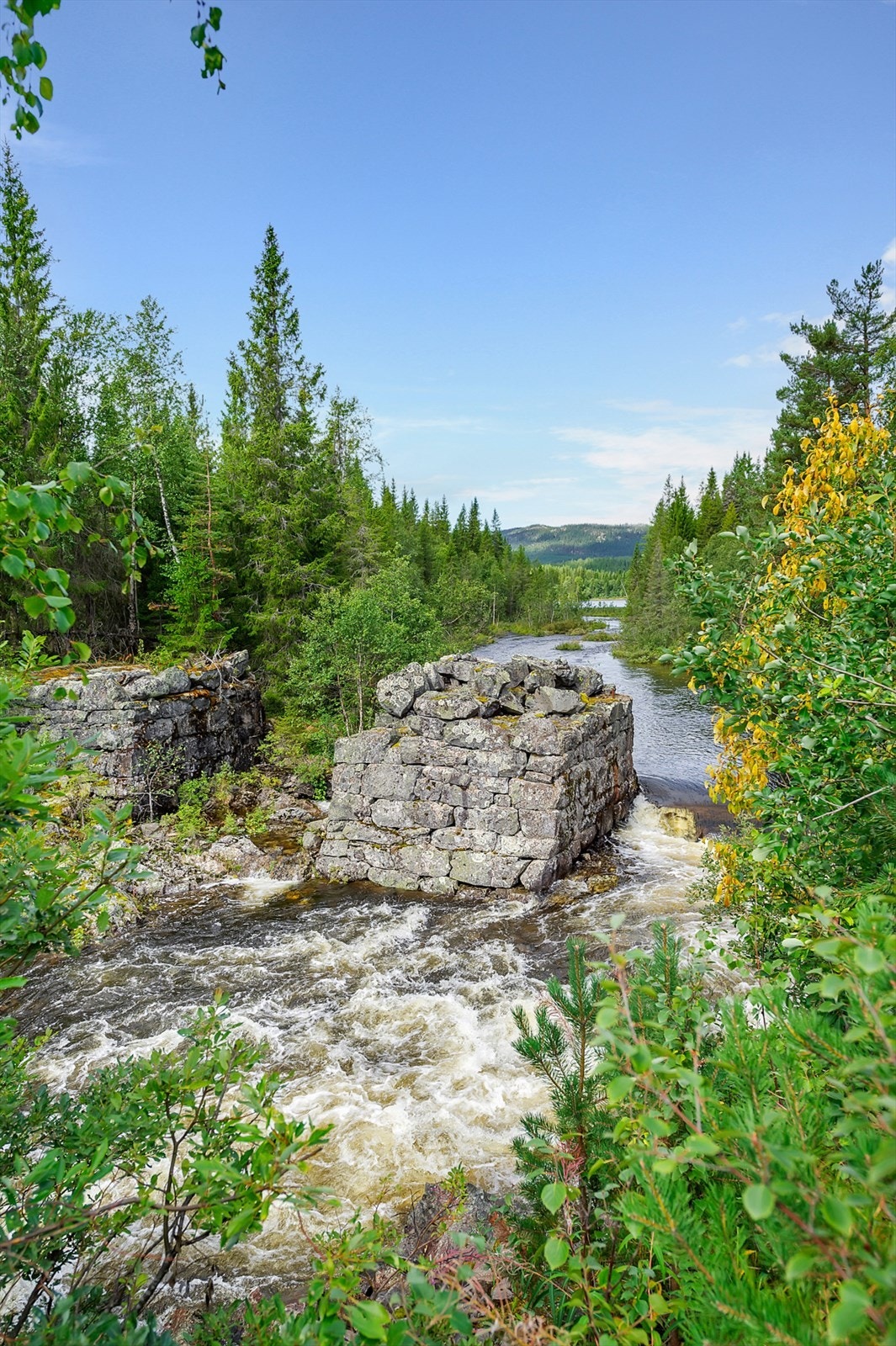 Naturen på sitt beste. Galleribilde