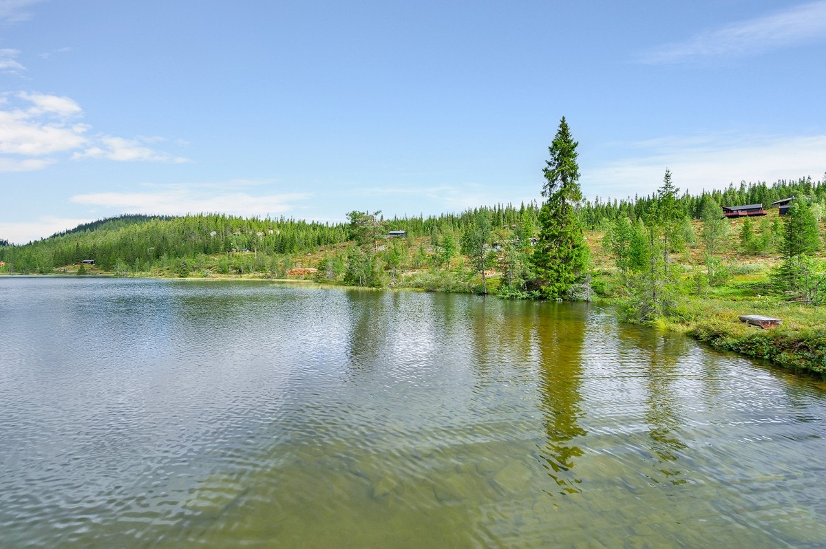 La roen senke seg. Galleribilde