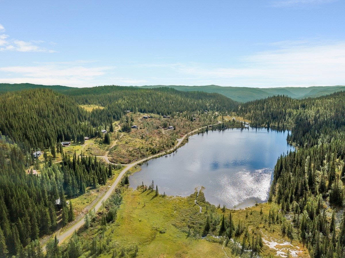 God beliggenhet langs Leppdalsvegen. Galleribilde