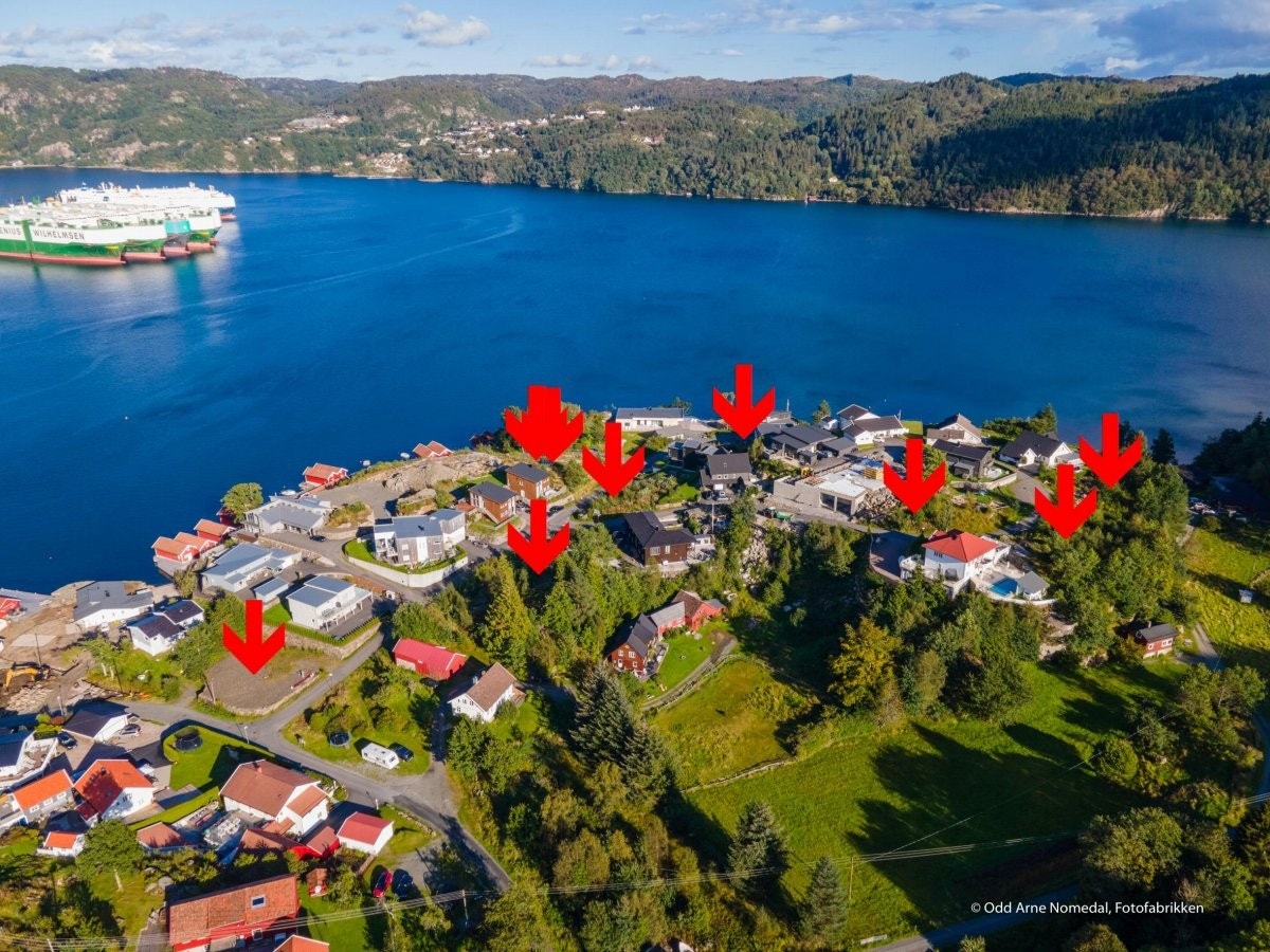 4387054_2-rxnhxb1.jpg Galleribilde