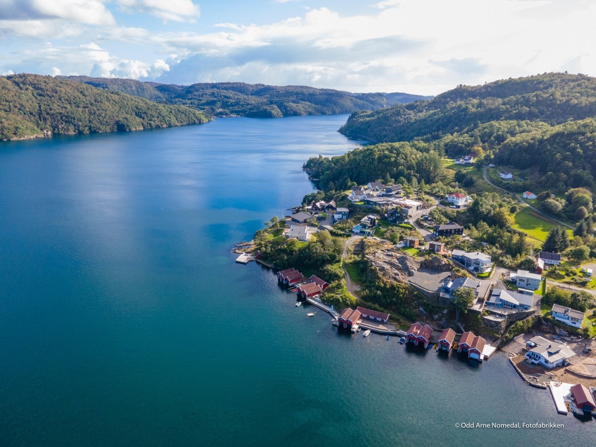 4387048_1-rygnyb1.jpg Galleribilde