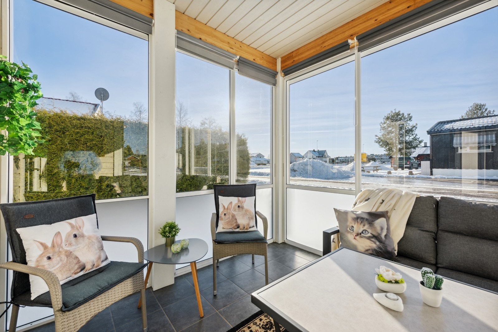 4983737_1-besczb1.jpg Galleribilde