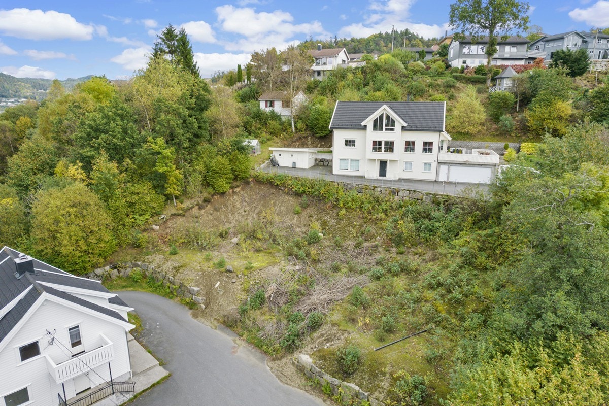 4648370_1-jxkbgb1.jpg Galleribilde