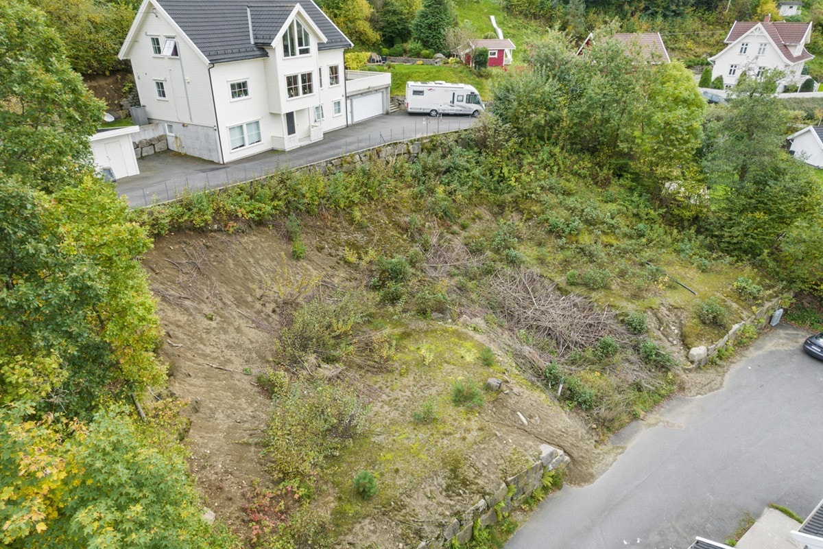 4648369_1-lhppnb1.jpg Galleribilde