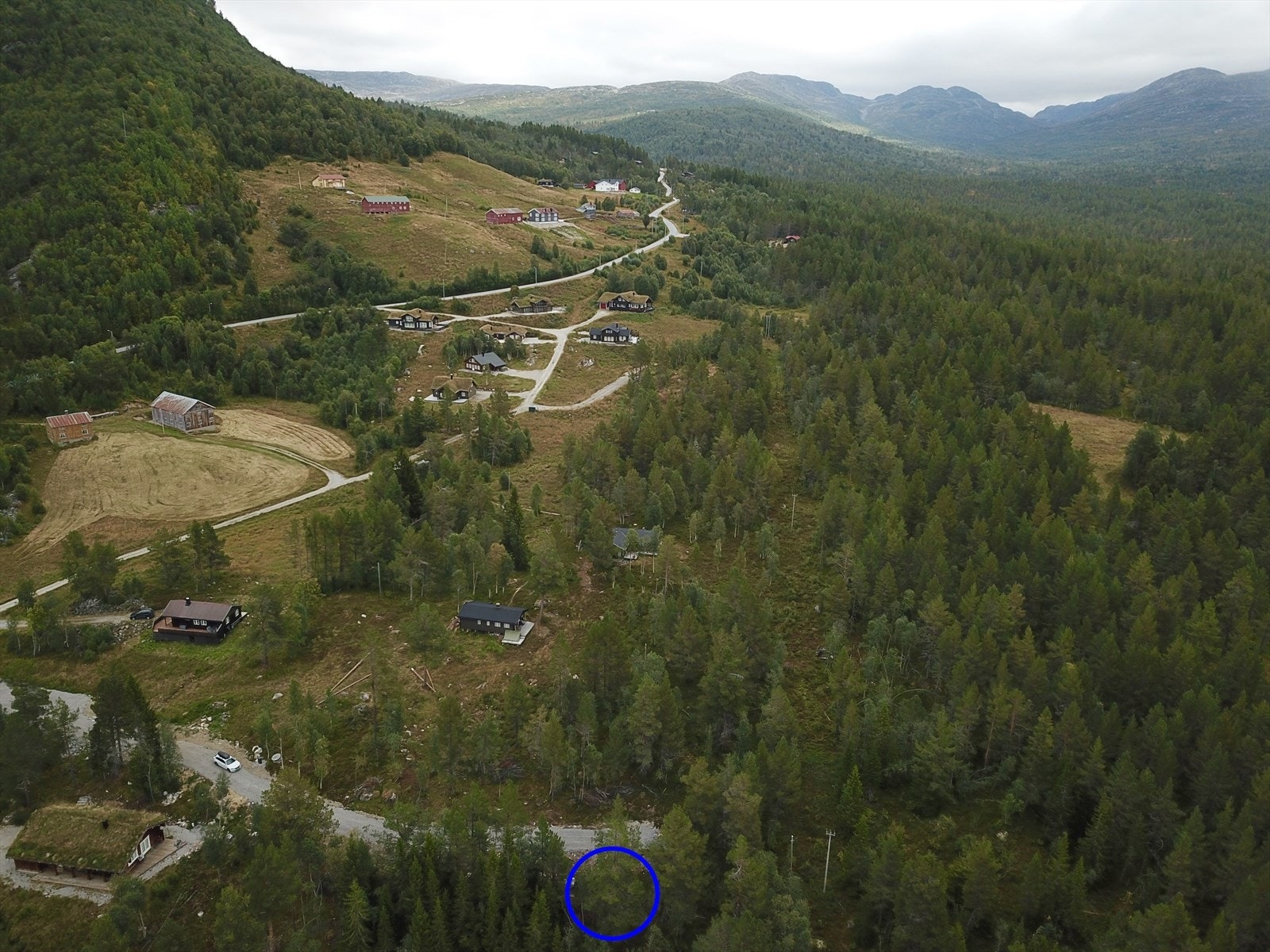 A9C68618-0F6B-4826-86A8-8BFA9A3B45C2.jpeg Galleribilde