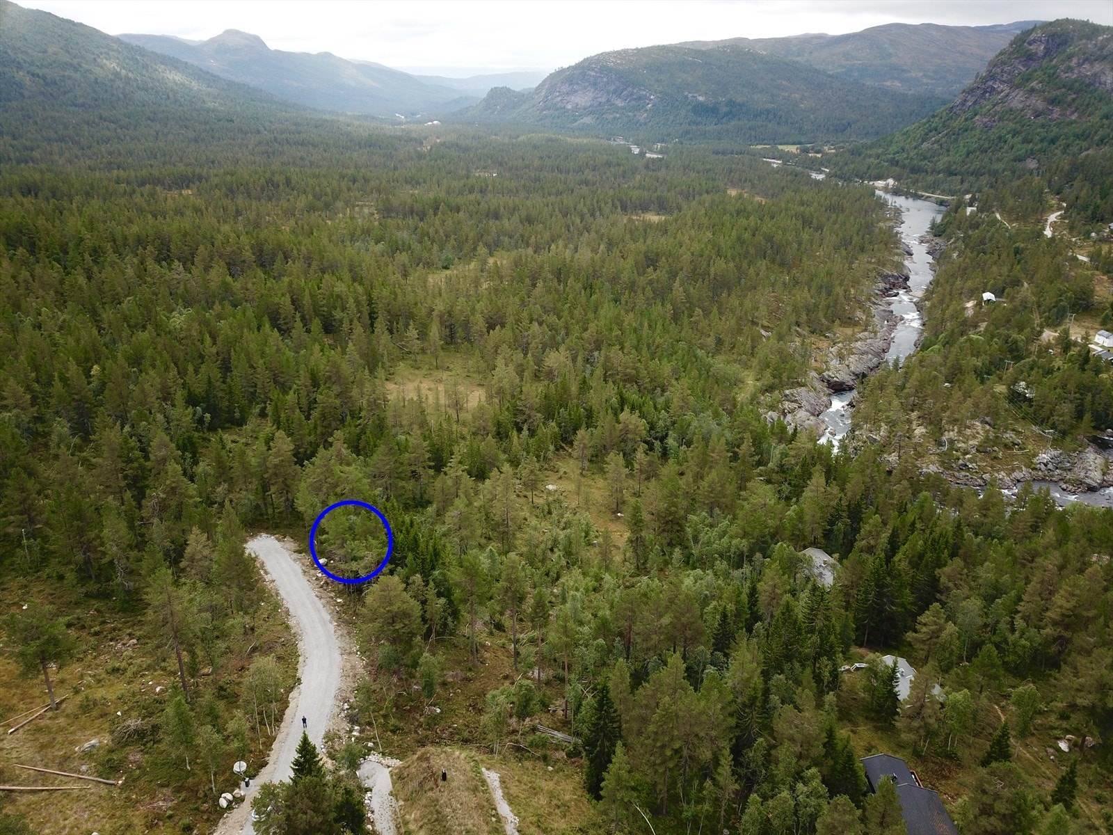 8562C9DC-553B-4410-8BE5-5965D71686BD.jpeg Galleribilde