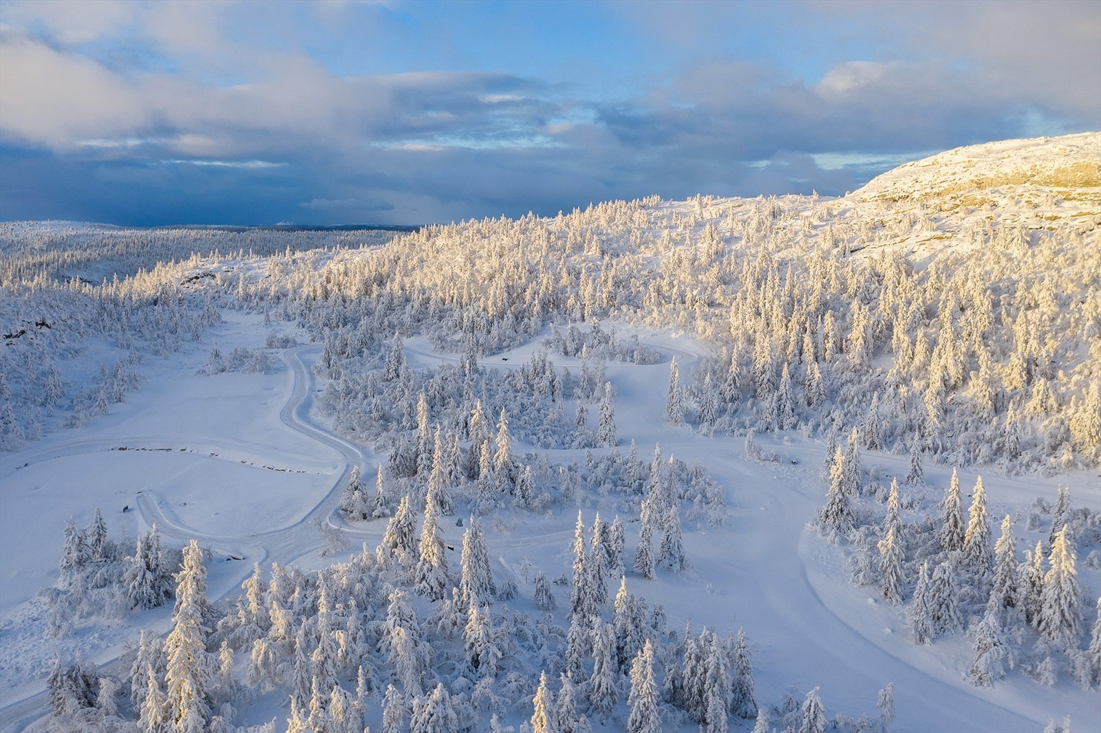 TIlfartsløypene til langrenn og alpint går rett ved eiendommen Galleribilde