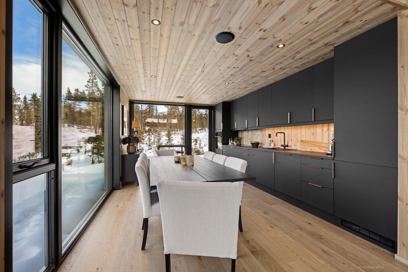 Godt utstyrt og lekkert Aubo-kjøkken. Integrerte høyttalere i himling på kjøkken Galleribilde