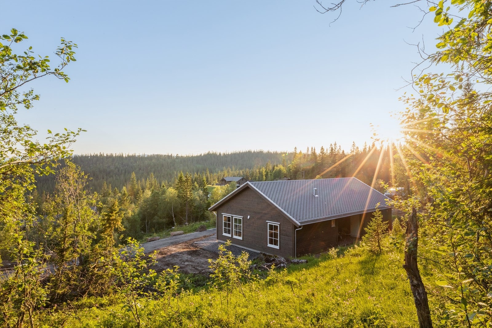 Velkommen til en hyggelig visning! Galleribilde