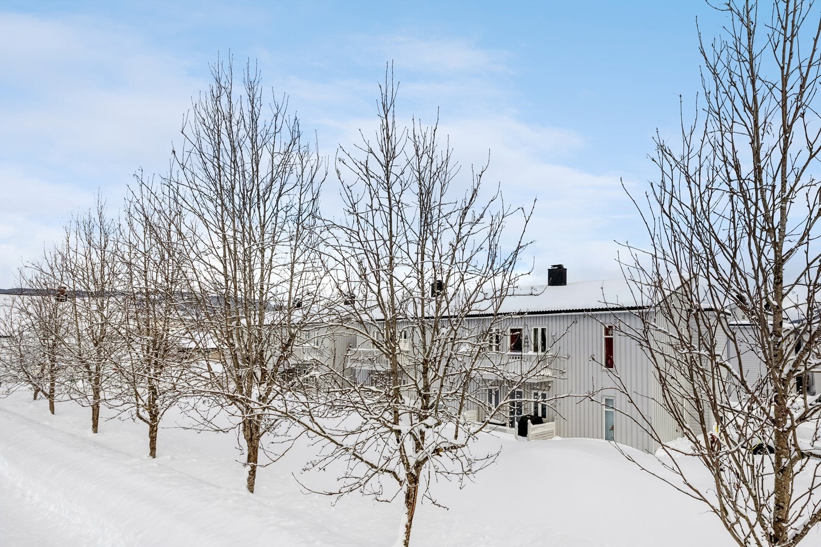 Velkommen til visning! Galleribilde